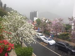 -小南山公园