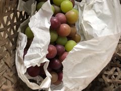 -马陆小张葡萄园农家乐