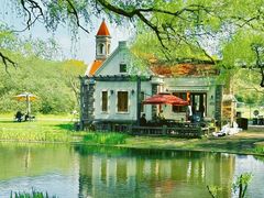 -上海共青森林公园