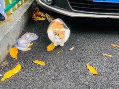 -新丰小吃(凤起路分店)