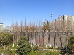 -水绘园