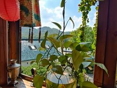 -马灯部落·西湖边的创意山景餐厅(虎跑动物园店)