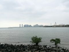 -万绿园