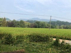 -韶山毛泽东同志故居