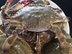 -渔公码头·九龙湾国际饭店