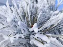 -太子岭滑雪场