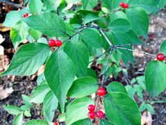 -北京宽沟会议中心