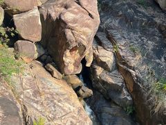 -广州白江湖森林公园