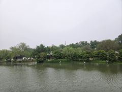 -扬州大运河文化旅游度假区·盆景园