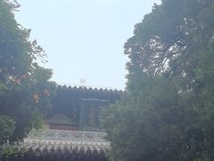 -洛阳白马寺