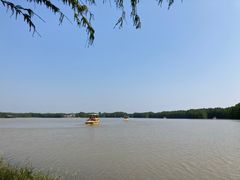 -上海海湾国家森林公园