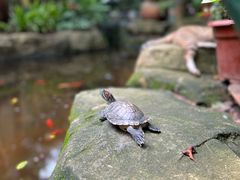 -火炉山森林公园