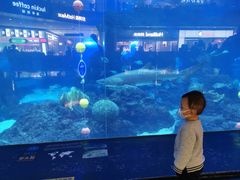 -成都浩海立方海洋公园