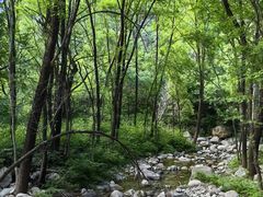 -玉渡山自然风景区