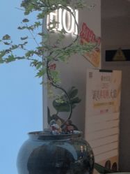 -章光101防脱养发荟