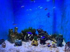 -常州海昌海洋探索馆