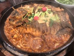 -老板恋上鱼(高新万达店)