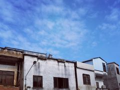 -黄连大头华烧鹅店(大良店)