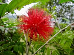 景点-湖光岩风景区