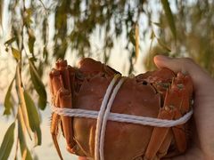 -品鲜村农家菜·阳澄湖大闸蟹(总店)