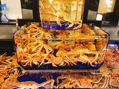 -蟹道乐(道顿堀本店)