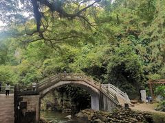 -广州市石门国家森林公园