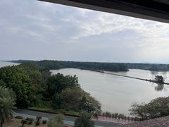 -大湾区中央湿地公园