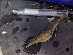 -岳各庄批发市场(西四环中路店)