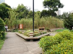 植物塘床系统-成都市活水公园