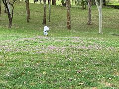 -福建鲤鱼洲酒店