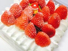 -可莎蜜兒(金城店)
