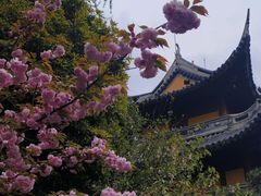 -龙华寺