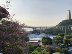 -重庆玛雅海滩水公园