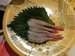 甜虾-京樽回転寿司(奥林匹克店)
