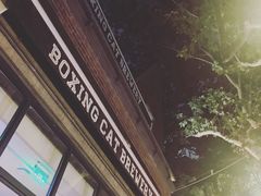 门面-Boxing Cat Brewery拳击猫精酿啤酒馆(永福店)