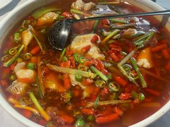 -尽膳·鱼鲜川菜(宽窄巷子店)