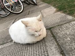 -复旦大学光华楼