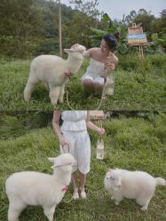 点击看大图 -花漾摄影优选工作室(东莞原创作品店)