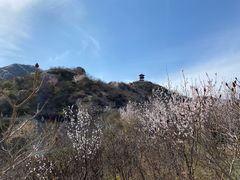 -北京凤凰岭