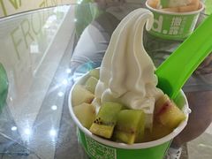 -Salud撒露欧洲冻酸奶(北苑上品店)