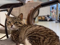 -中田健身工作室(嘉定江桥店)