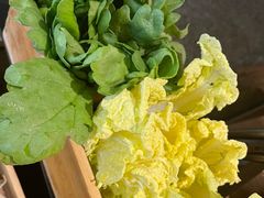 -盡膳口福跷脚牛肉火锅(合生汇购物中心店)