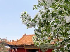 -大召寺明清一条街