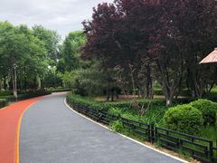 -大兴滨河森林公园