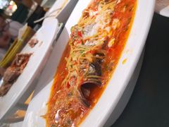 盐帮过水鱼-雀蓝川菜(奥体广场店)