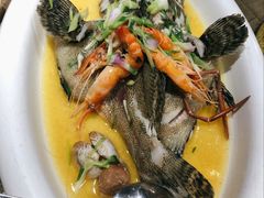 渔夫蒸珍珠斑-79号渔船海鲜饭店(华强北店)