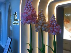 -晶雅花园西餐厅(南京首店)