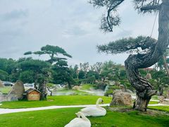 -罗红摄影艺术馆