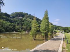 -神光山国家森林公园