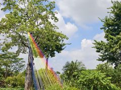 -东莞植物园